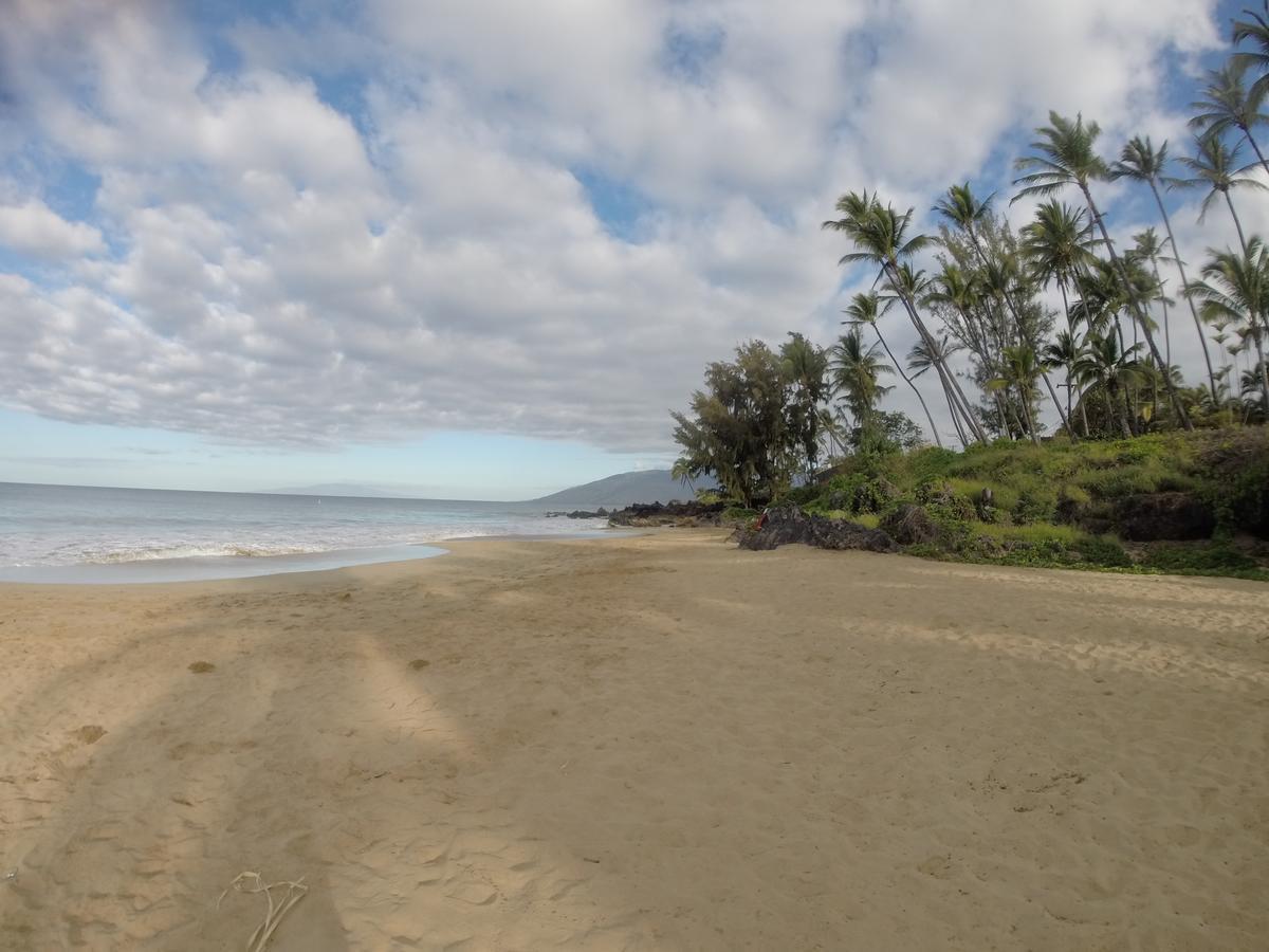 Maui-Licious By The Beach Kihei Exterior foto