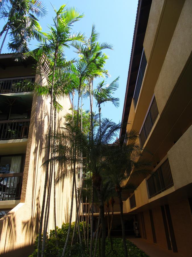 Maui-Licious By The Beach Kihei Exterior foto